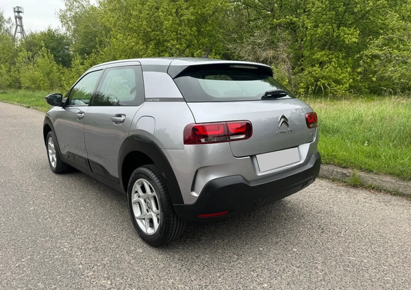 Citroen C4 Cactus cena 49900 przebieg: 129700, rok produkcji 2019 z Rymanów małe 172